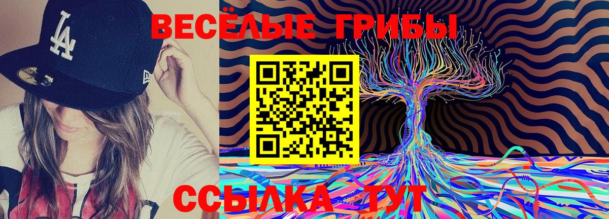 Псилоцибиновые грибы ЛСД Гагарин