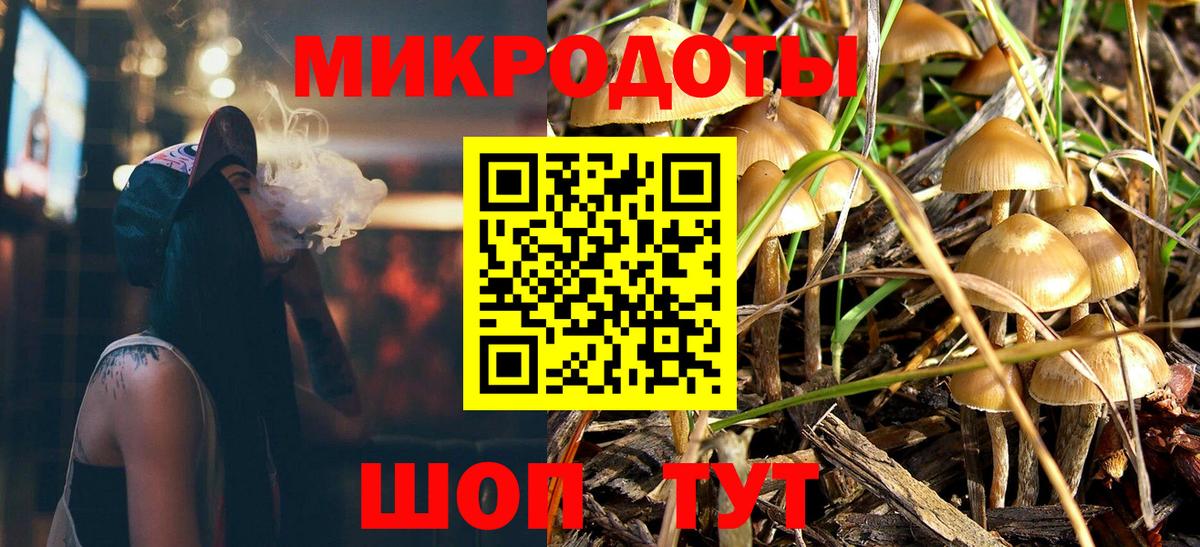 Гагарин  Псилоцибиновые грибы Cubensis  Вход с VPN 